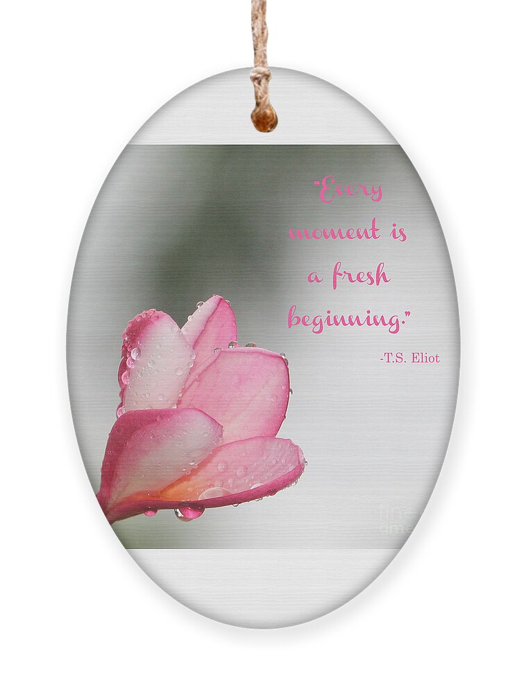Flower Ornament featuring the photograph Raindrops on a plumeria flower by Joanne Carey