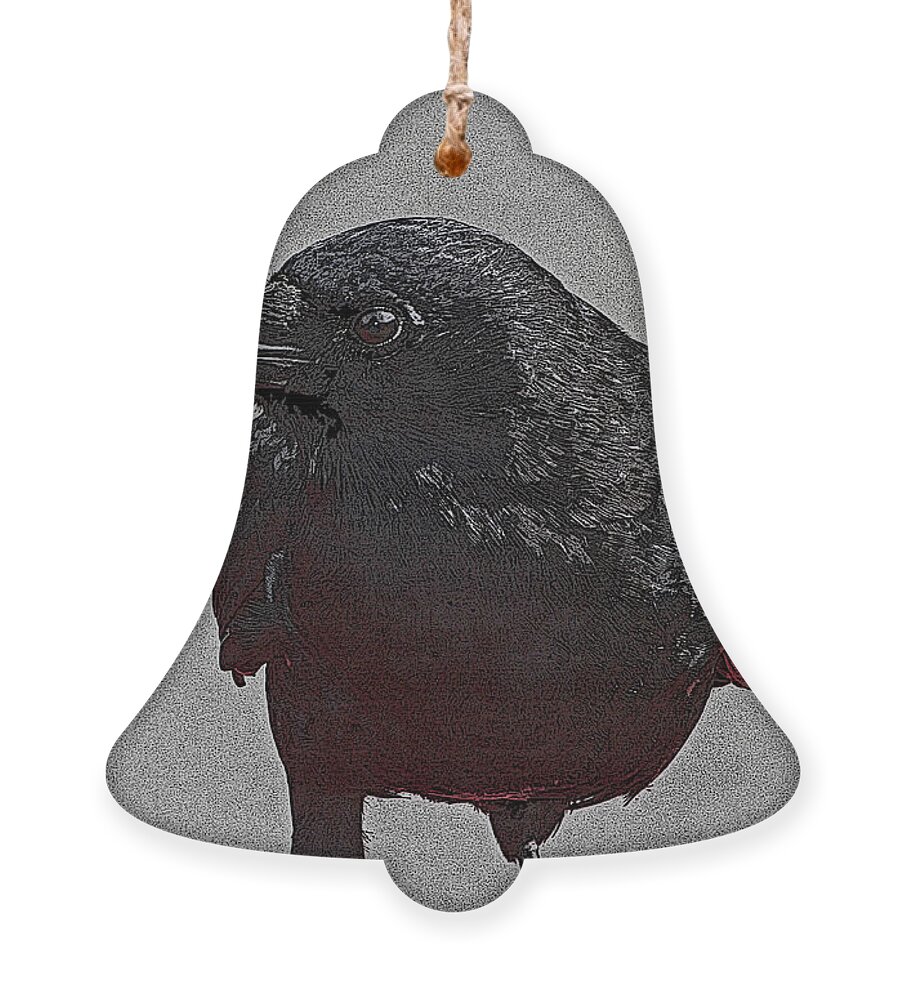 Raven At Friday Harbor Wa. Ornament featuring the digital art Raven At Friday Harbor Wa. by Tom Janca