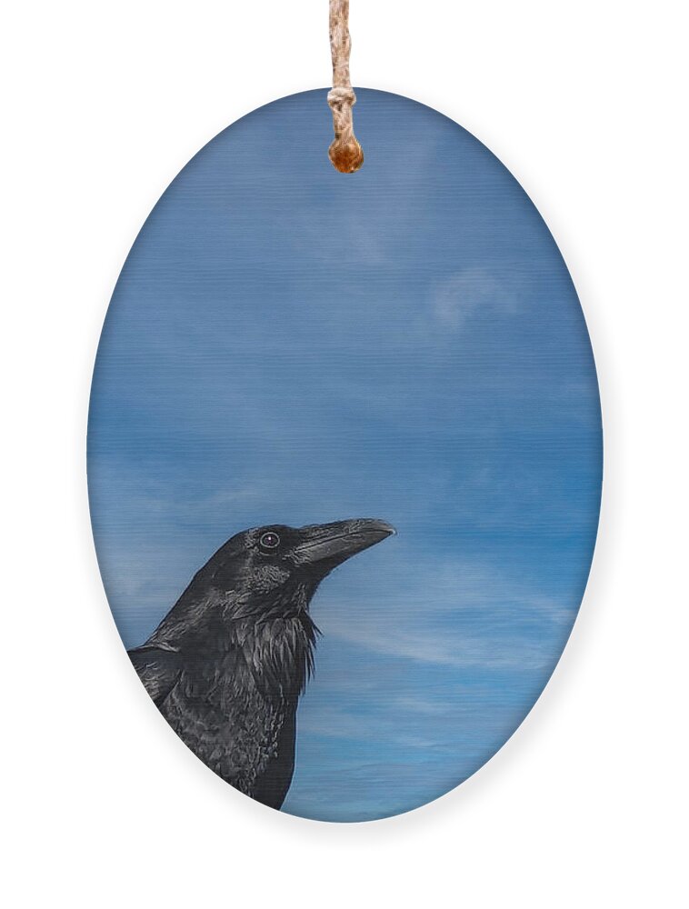 Raven Ornament featuring the photograph Raven Portrait by Laura Putman