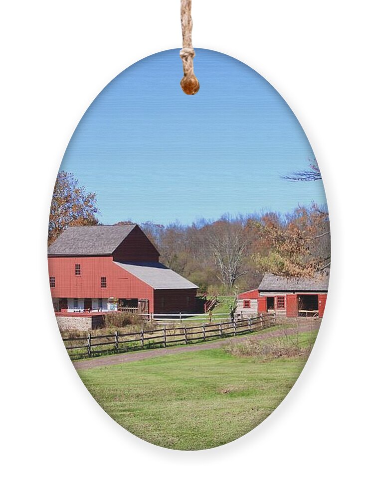 Landscape Ornament featuring the photograph Red Barns by Susan Jensen