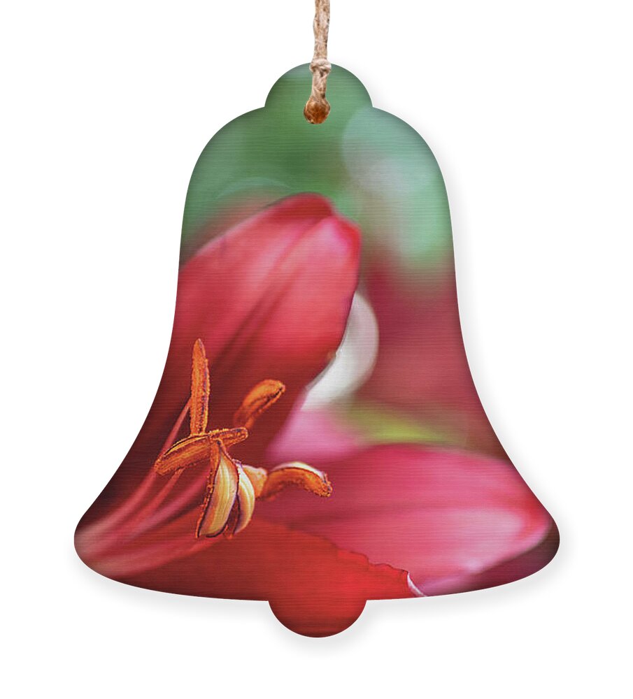 Vibrant Ornament featuring the photograph Red Beauty by Amy Dundon