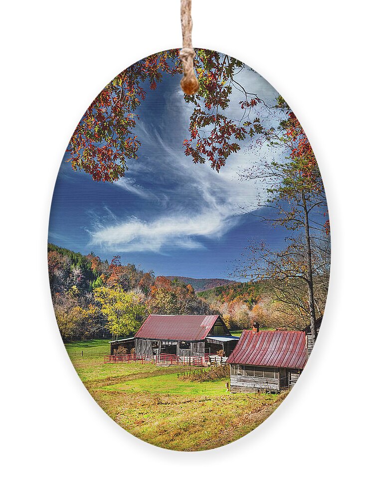 Barns Ornament featuring the photograph Red Oaks over the Farm Barns by Debra and Dave Vanderlaan