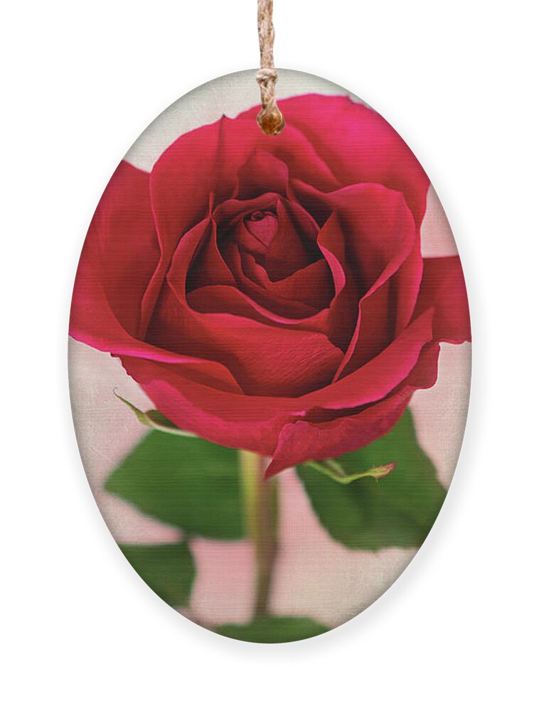 Red Rose Ornament featuring the photograph Red Rose Single Stem Print by Gwen Gibson