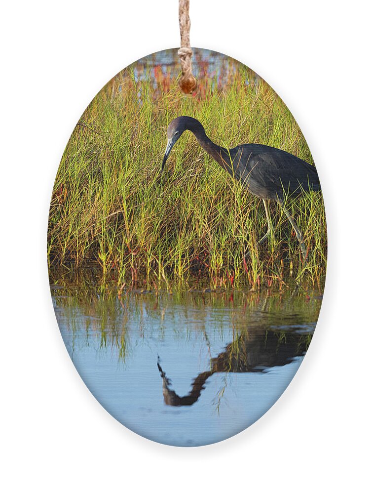 R5-2614 Ornament featuring the photograph Reflecting on Life by Gordon Elwell