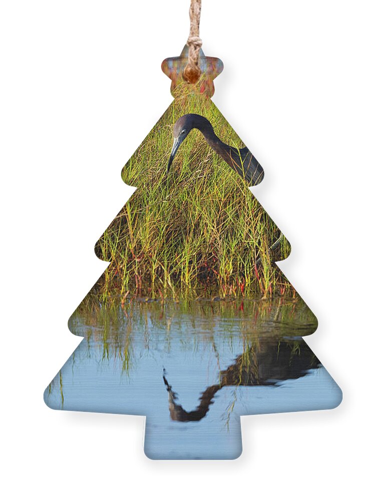 R5-2614 Ornament featuring the photograph Reflecting on Life by Gordon Elwell