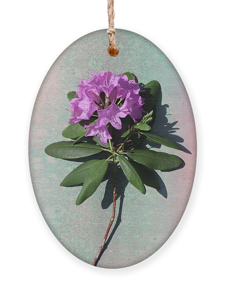 Rhododendron Ornament featuring the photograph Rhododendron by Paul Gaj