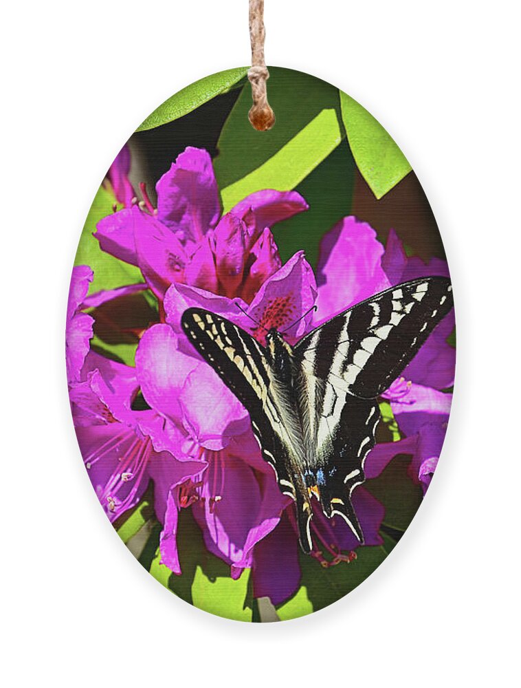 Rhody Ornament featuring the photograph Rhody and the Butterfly by Lauren Leigh Hunter Fine Art Photography