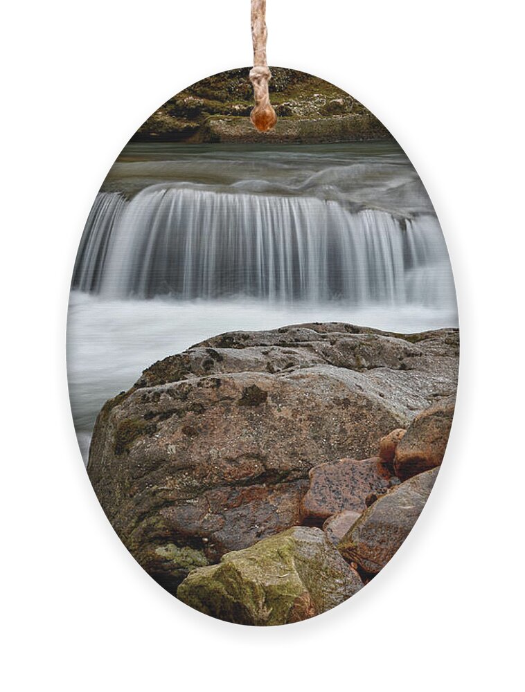 Cumberland Plateau Ornament featuring the photograph Richland Creek 16 by Phil Perkins