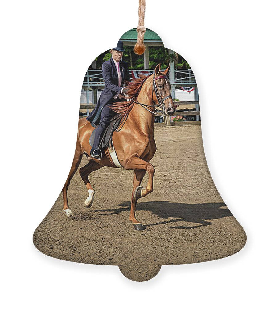 American Ornament featuring the photograph Riding The Practice Ring by Amy Dundon