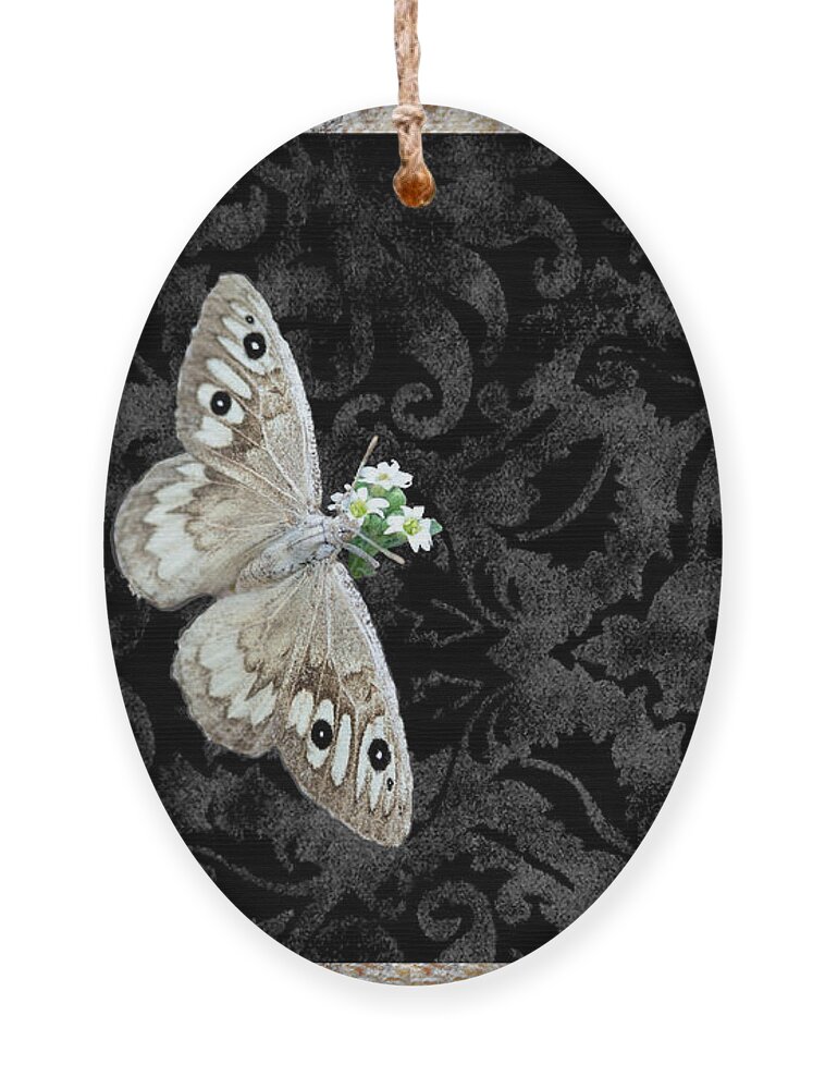 Butterfly Ornament featuring the mixed media Riding's Satyr Butterfly by Kae Cheatham