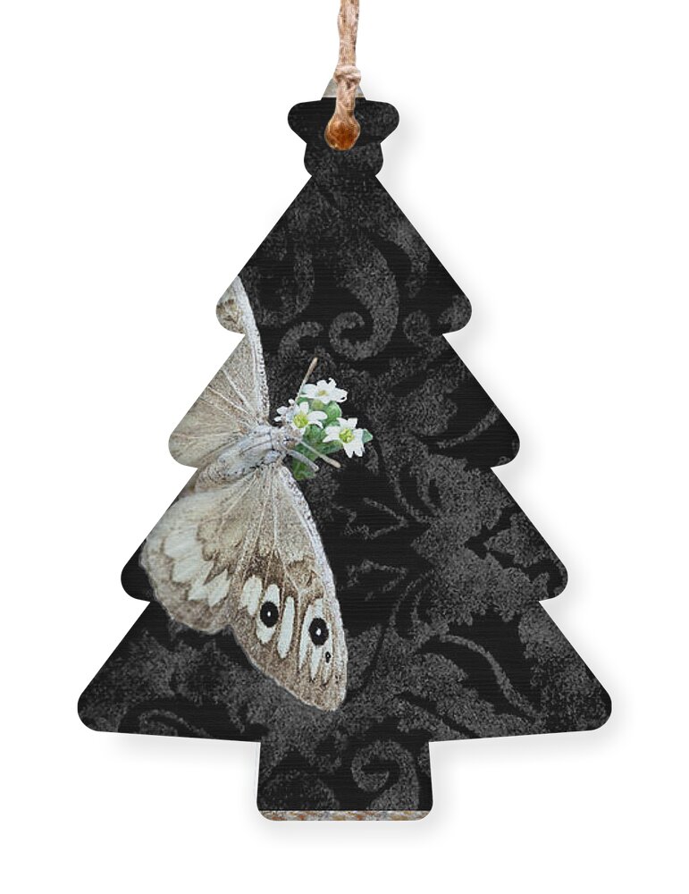 Butterfly Ornament featuring the mixed media Riding's Satyr Butterfly by Kae Cheatham