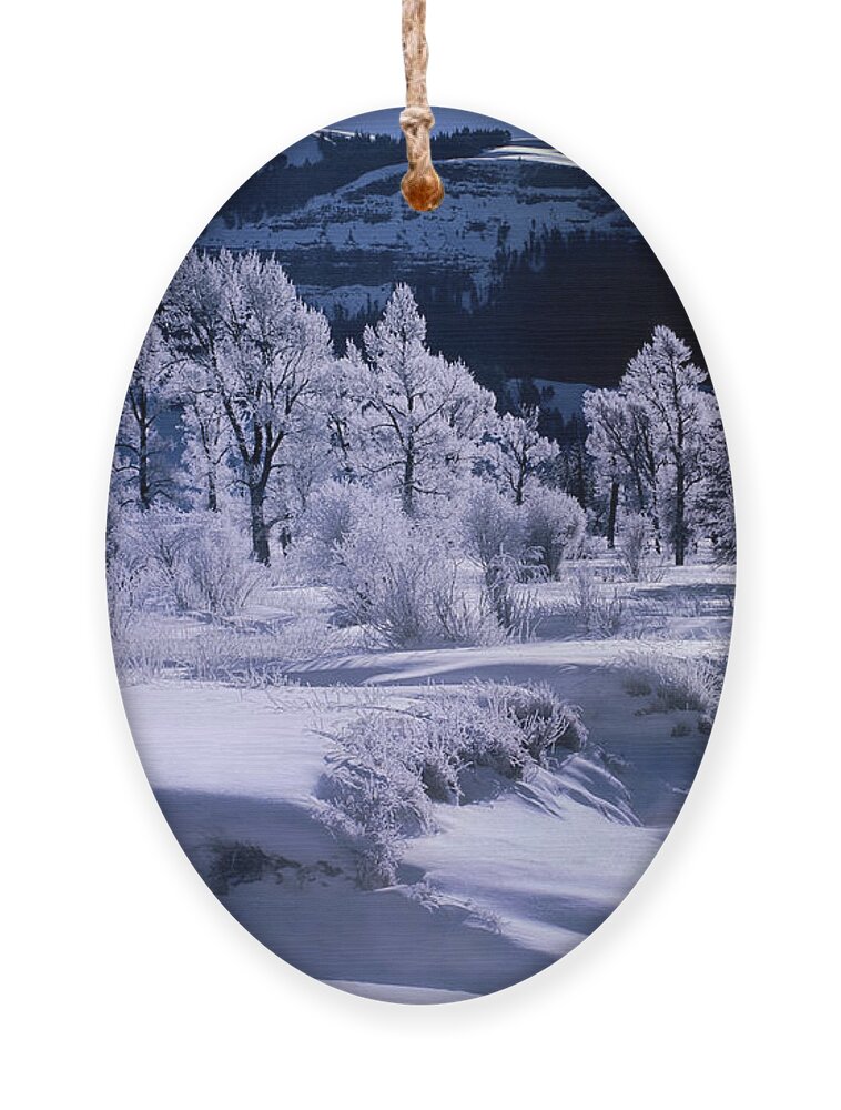 Dave Welling Ornament featuring the photograph Rime Ice On Trees Lamar Valley Yellowstone National Park by Dave Welling