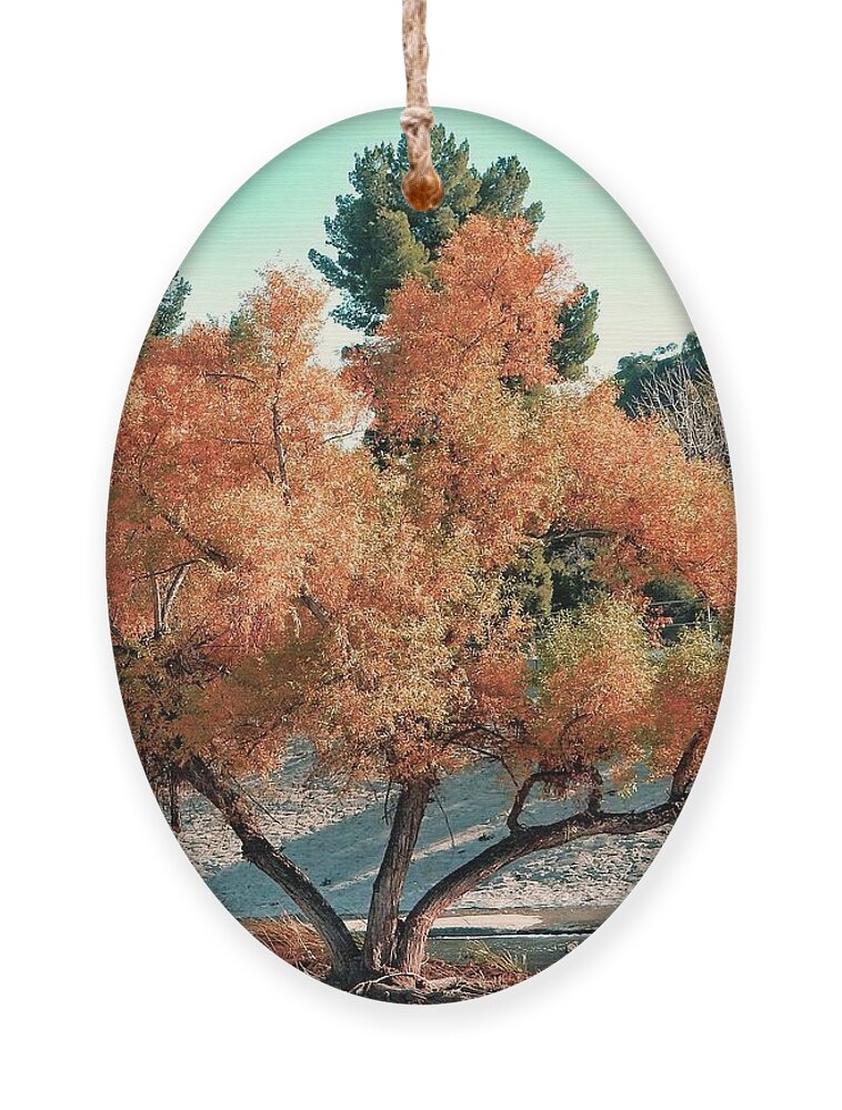 Tree Ornament featuring the photograph River Island Tree by Andrew Lawrence
