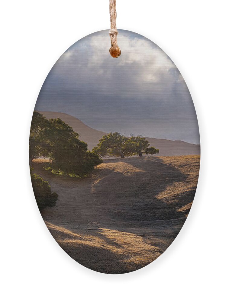 River Road Ornament featuring the photograph River Road OakTrees by Derek Dean
