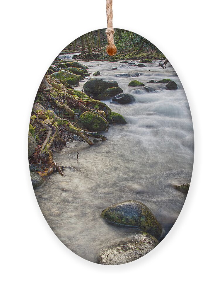  Ornament featuring the photograph Roadside Creek 3 by Phil Perkins