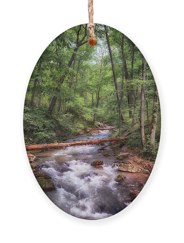 Roaring Run Ornament featuring the photograph Roaring Run Creek - Eagle Rock Virginia by Susan Rissi Tregoning