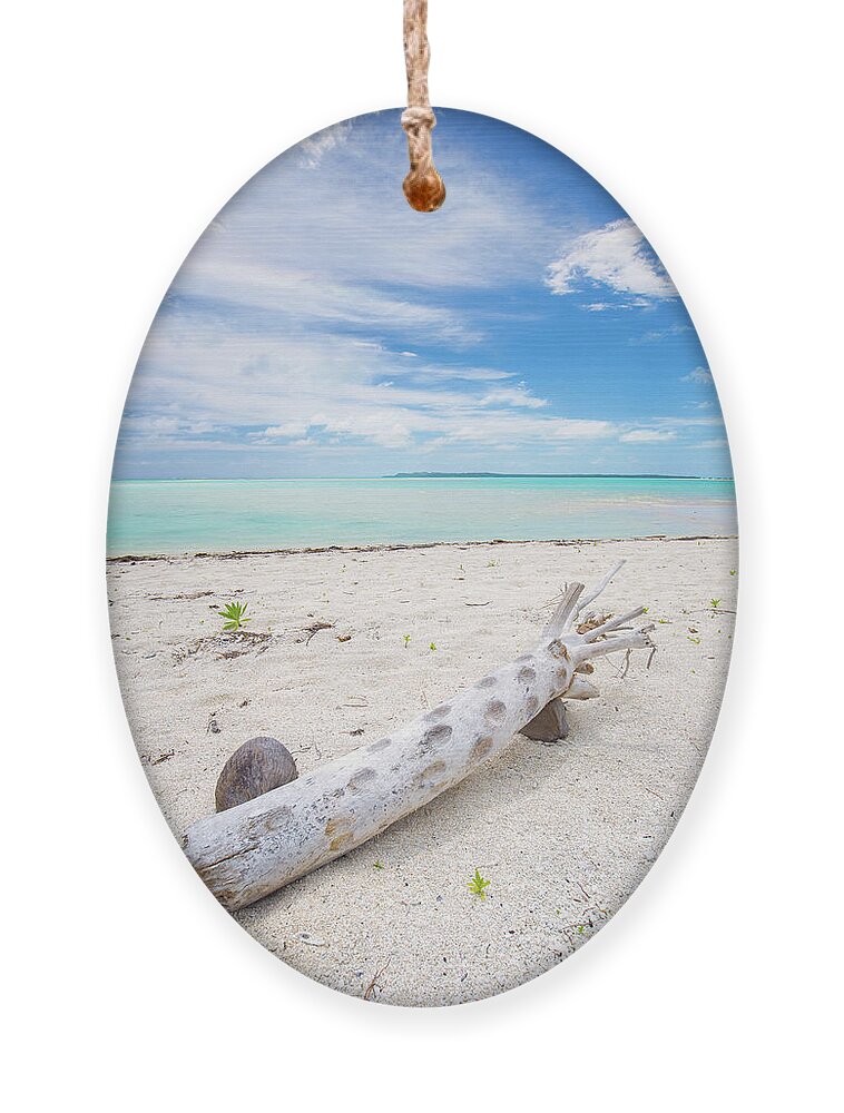 Driftwood Ornament featuring the photograph Robinson Crusoe's Living Room by Becqi Sherman