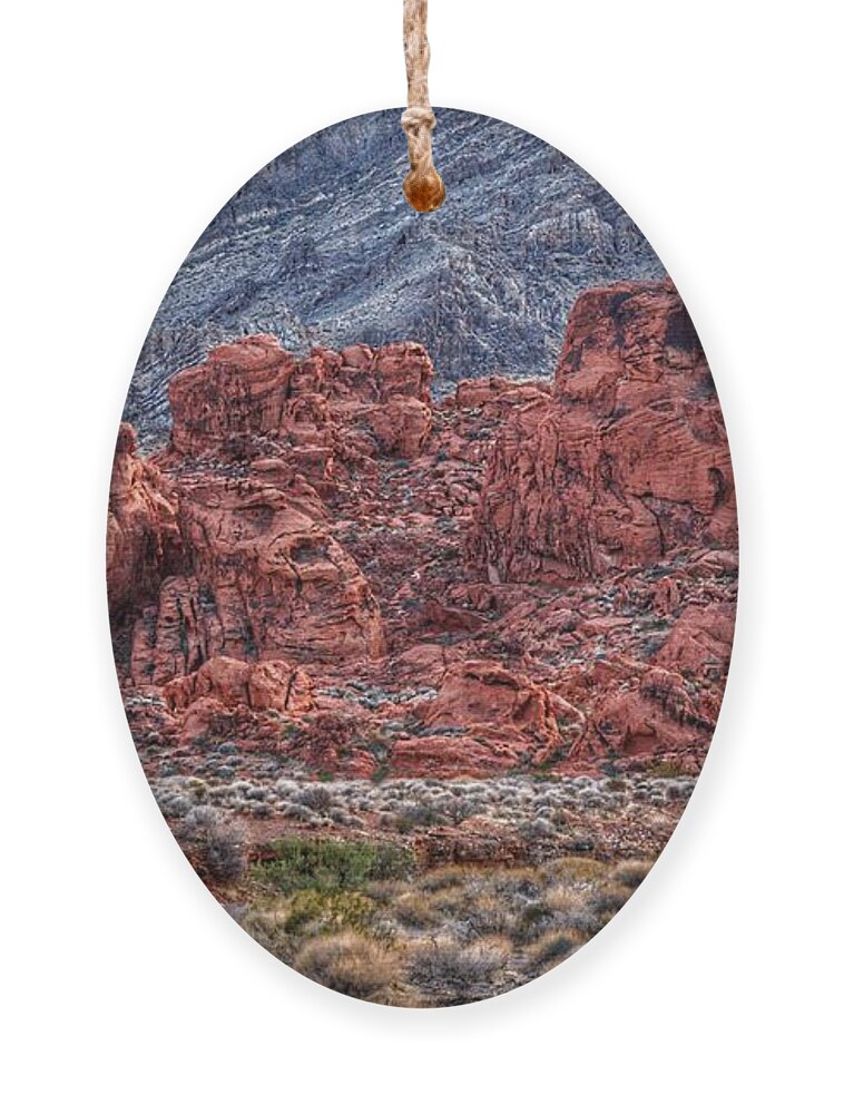  Ornament featuring the photograph Rock Island by Rodney Lee Williams