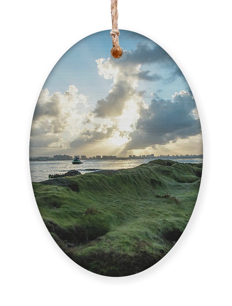 Piñones Ornament featuring the photograph Rocks Covered in Moss at Sunset, Pinones, Puerto Rico by Beachtown Views