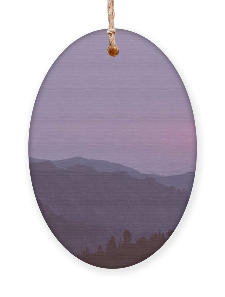 Purple Ornament featuring the photograph Purple Landscape by Katie Dobies