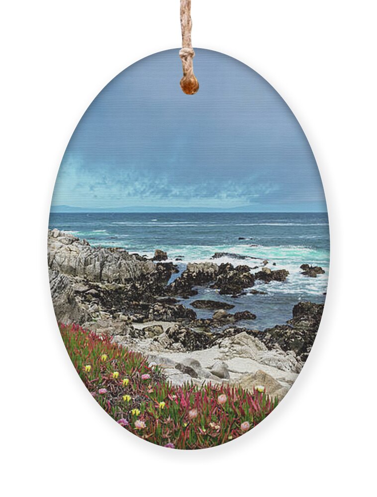 Beach Ornament featuring the photograph Rocky Promontory by David Levin