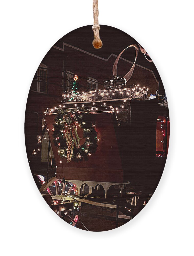 Christmas Ornament featuring the photograph Ropin' the Season by Lee Darnell