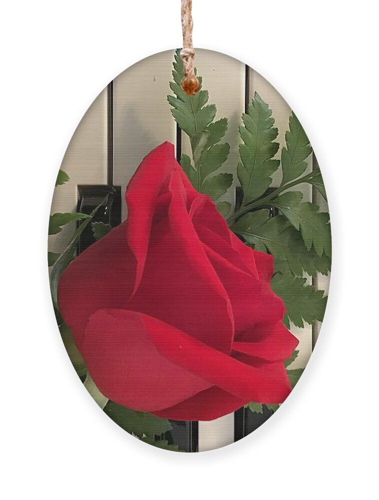 Rose Ornament featuring the photograph Rose and Keyboard featured by Catherine Wilson