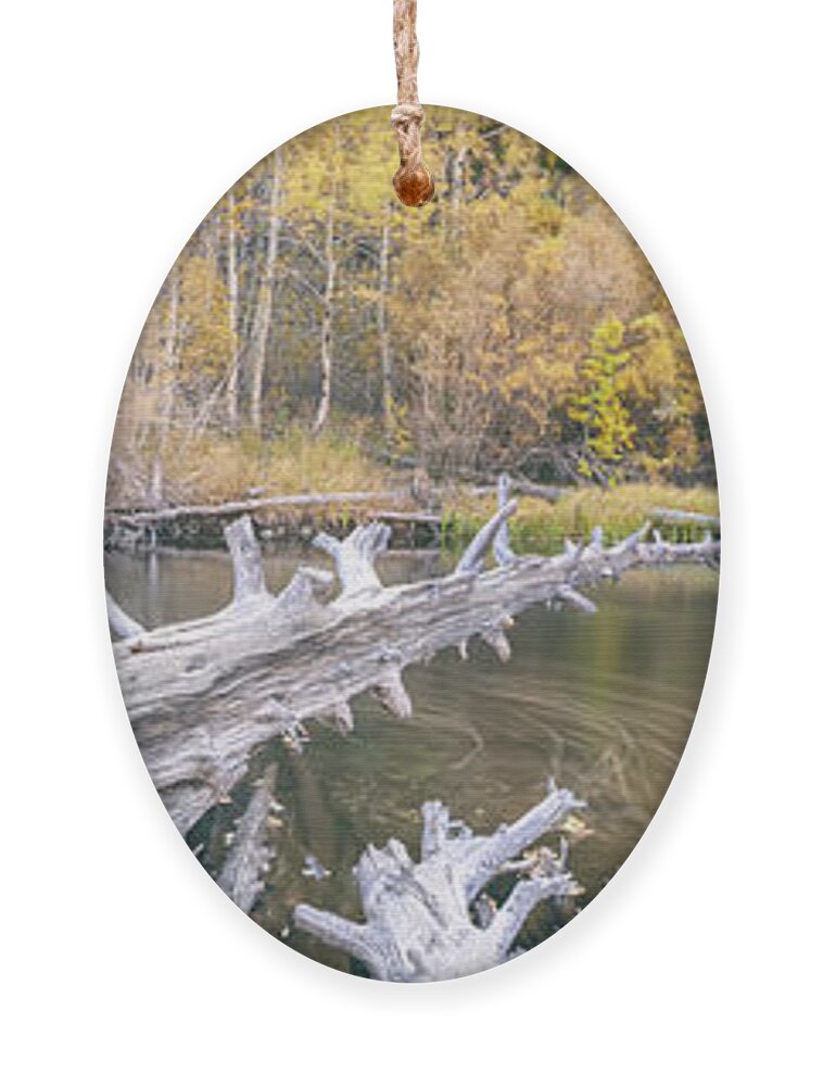 Autumn Ornament featuring the photograph Rush Creek Pano 2 by Jonathan Nguyen