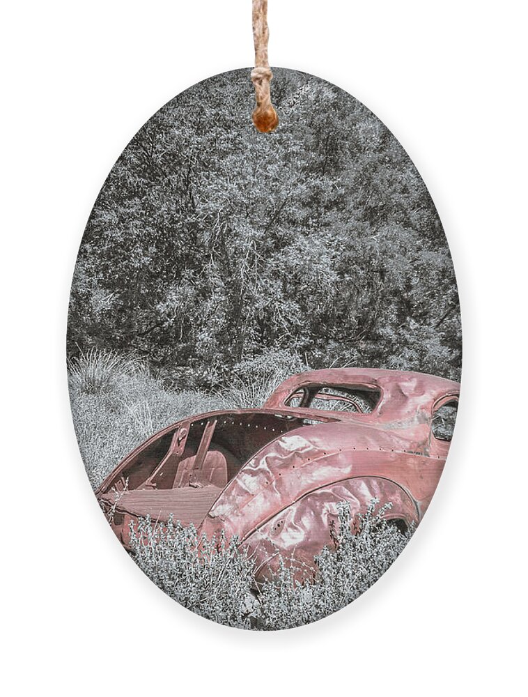 Ford Ornament featuring the photograph Rusty Coupe 2 by Darrell Foster