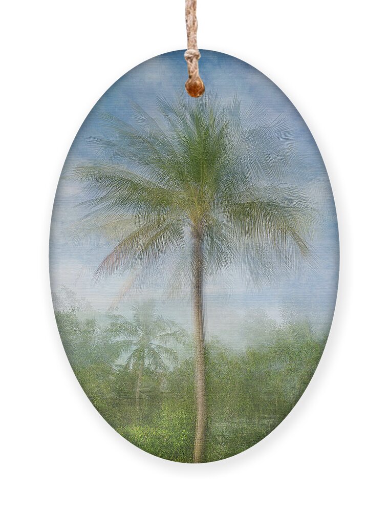 Wall Art Ornament featuring the photograph Sacred Palm a by Louise Lindsay