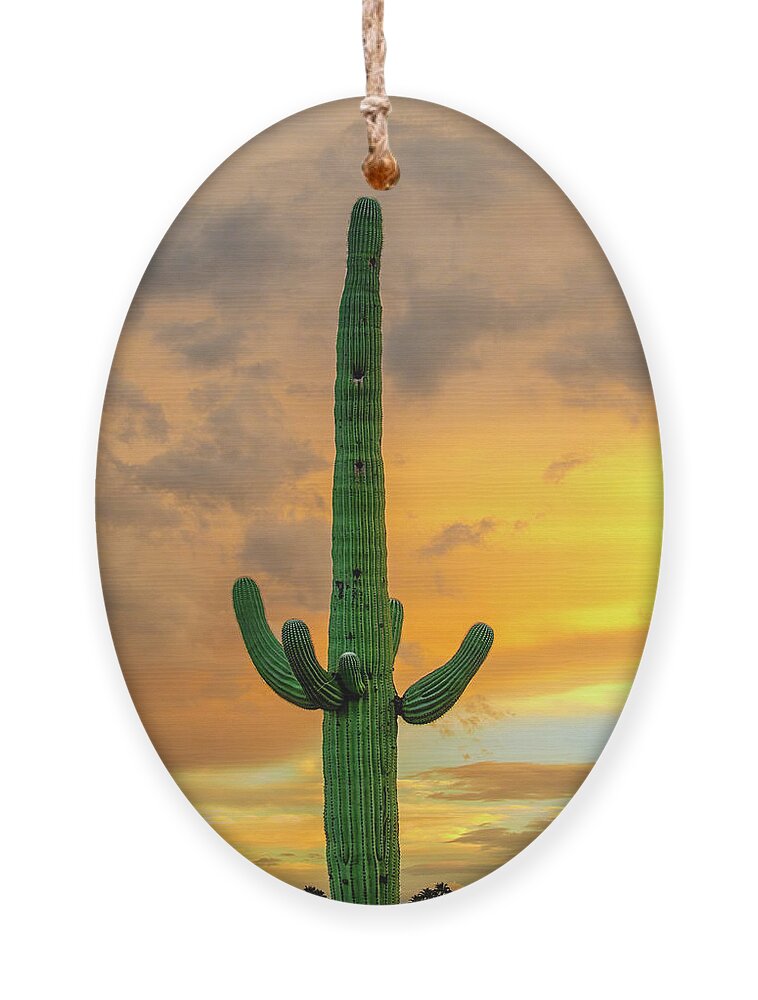 Mark Myhaver Photography Ornament featuring the photograph Saguaro East of Sunset 24899 by Mark Myhaver