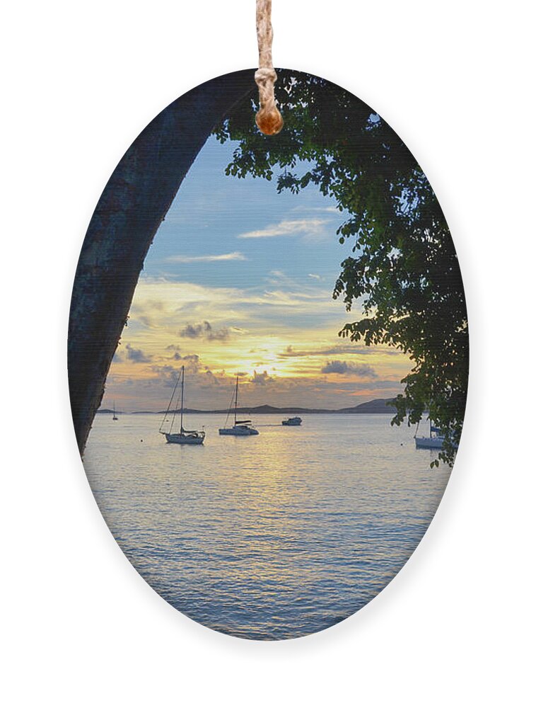 Beach Ornament featuring the photograph Sailboats at Sunset from Behind the Trees by Matthew DeGrushe