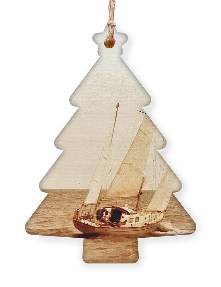 Sailing Ornament featuring the photograph Sailing by John Anderson