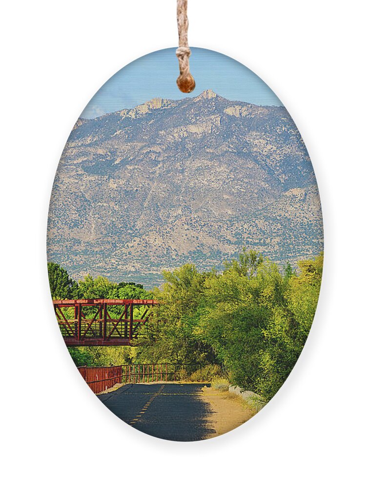 Arizona Ornament featuring the photograph Samaniego Loop Vista 25097 by Mark Myhaver