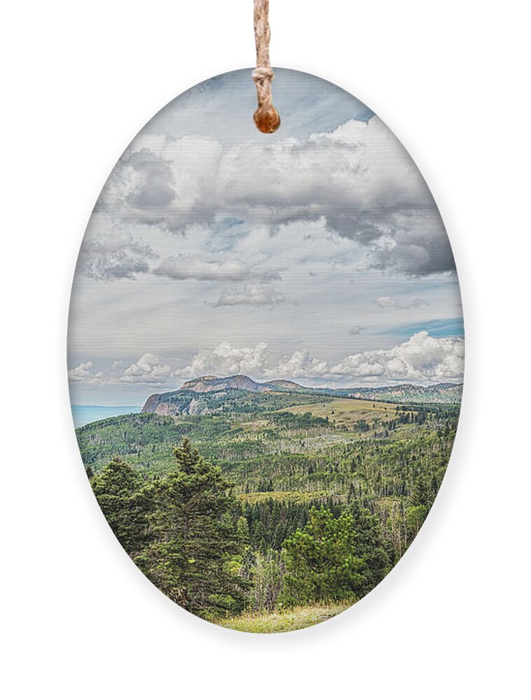 Landscape Ornament featuring the photograph San Juan Mountains New Mexico by Debra Martz