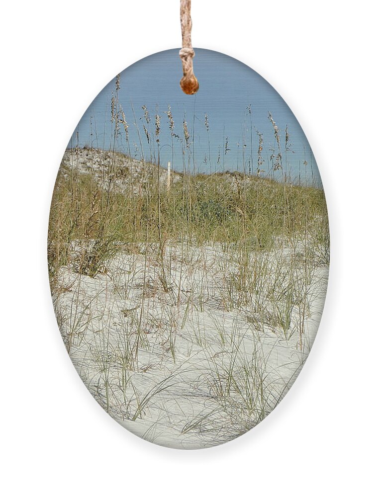 Sand Ornament featuring the photograph Sand and Sea Oats by Judy Hall-Folde