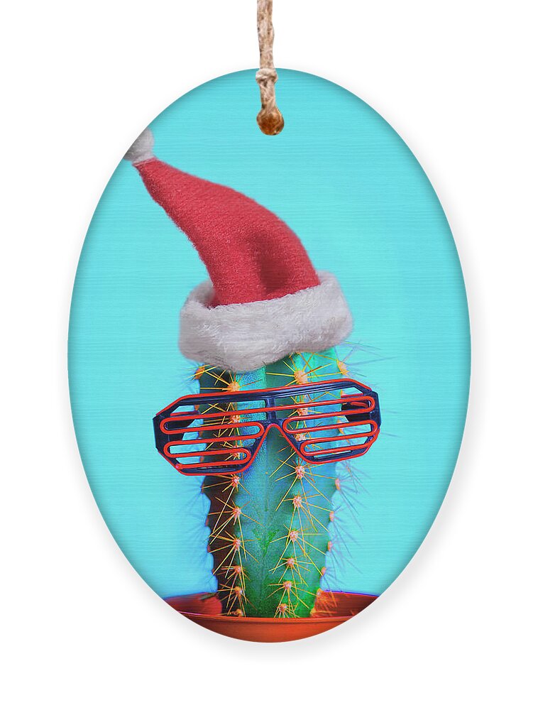 Cactus Ornament featuring the photograph Santa cactus. Funky pop art minimal christmas in summer concept. by Jelena Jovanovic