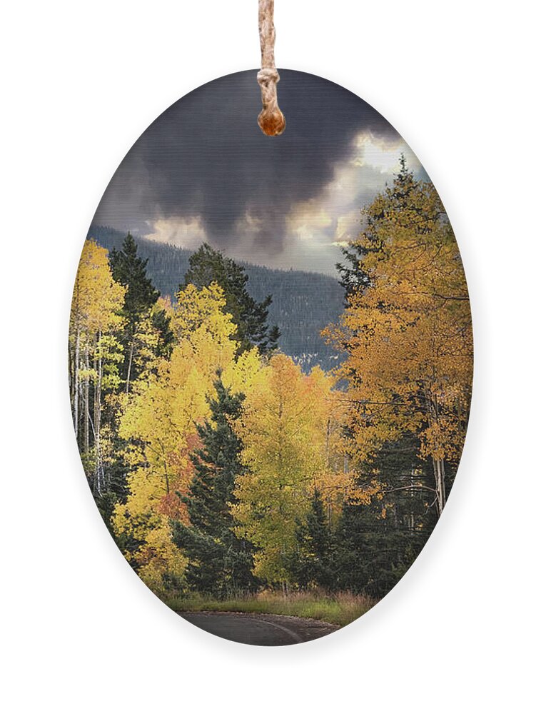 Golden Aspens Ornament featuring the photograph Santa Fe Gold Autumn by Rebecca Herranen