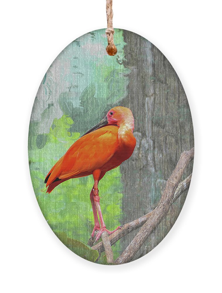 Scarlet Ibis Ornament featuring the photograph Scarlet Ibis by Bentley Davis