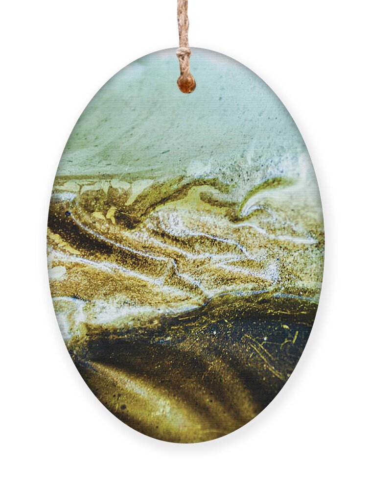 Abstract Ornament featuring the photograph Sea Creature Tail by Liquid Eye