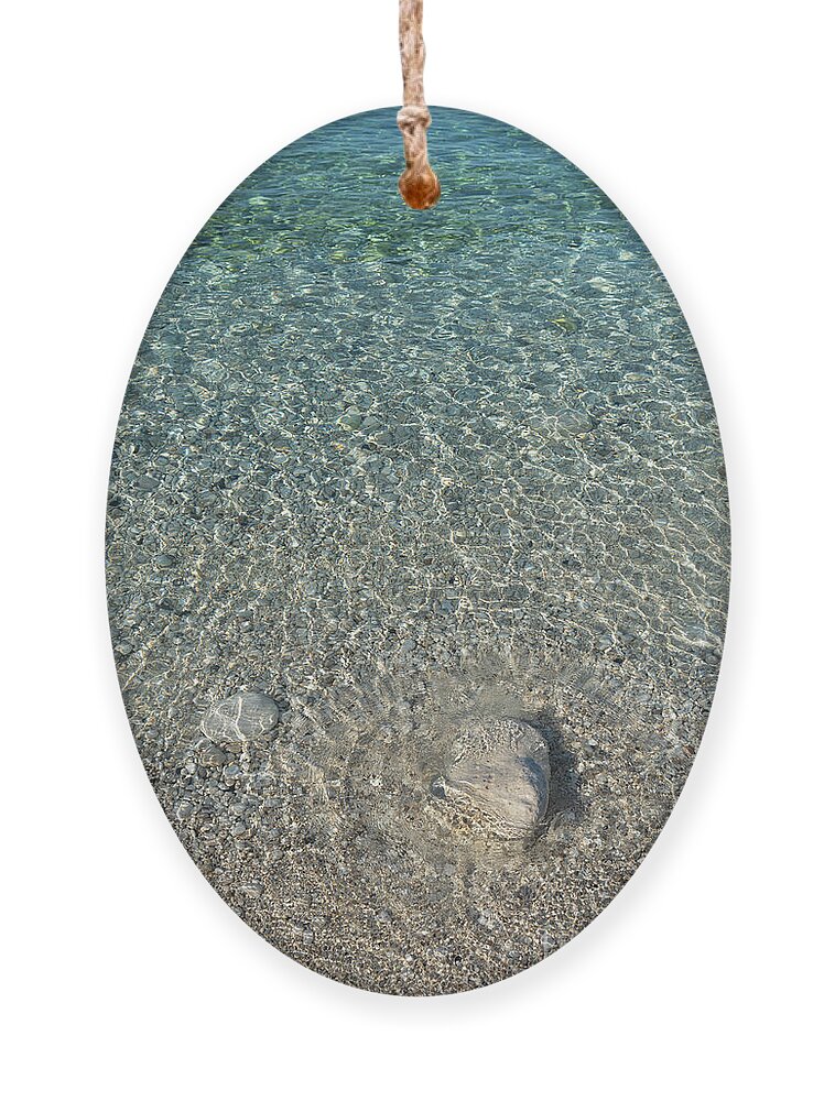 Mediterranean Ornament featuring the photograph Sea water, gentle waves and sunlight by Adriana Mueller