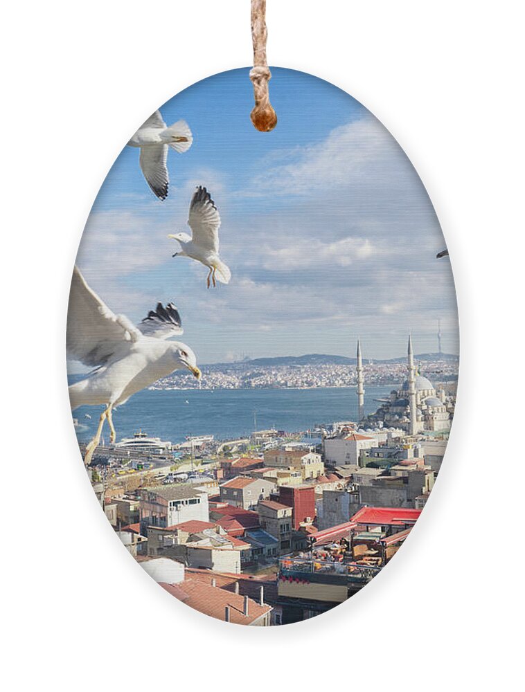 Turkey Ornament featuring the photograph Seagulls of Istanbul by Anastasy Yarmolovich