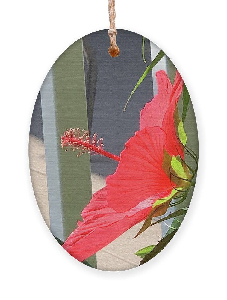 Flower Ornament featuring the photograph Searching for Satellite Reception by Lee Darnell
