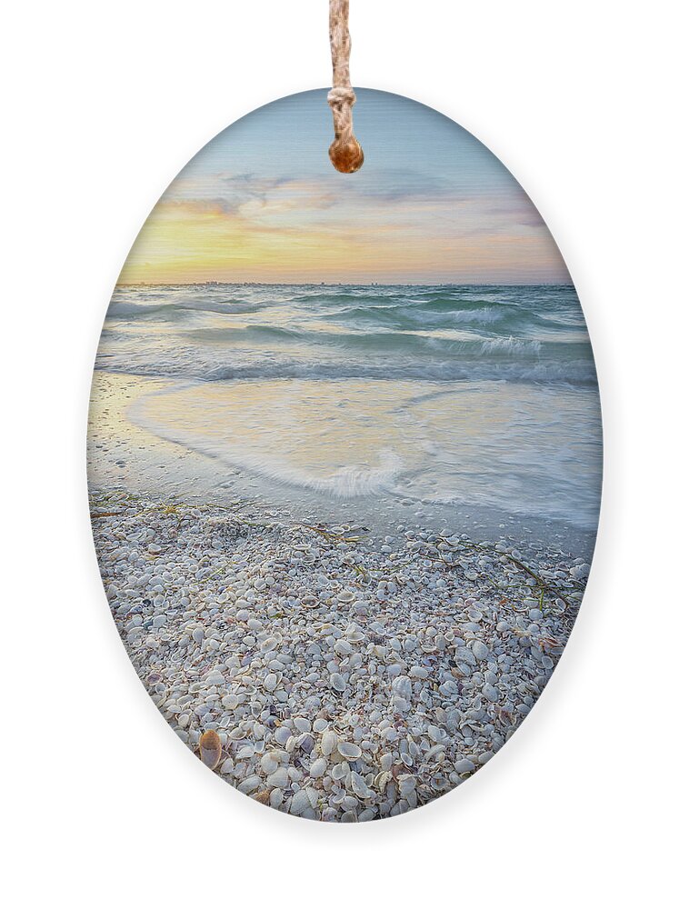Seashells Ornament featuring the photograph Seashells Of Sanibel by Jordan Hill