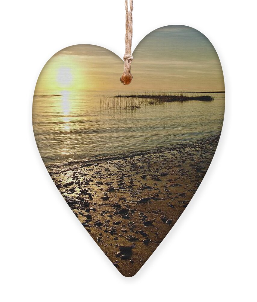 Seashells Ornament featuring the photograph Seashells On A Beach At Sunrise by Dennis Schmidt