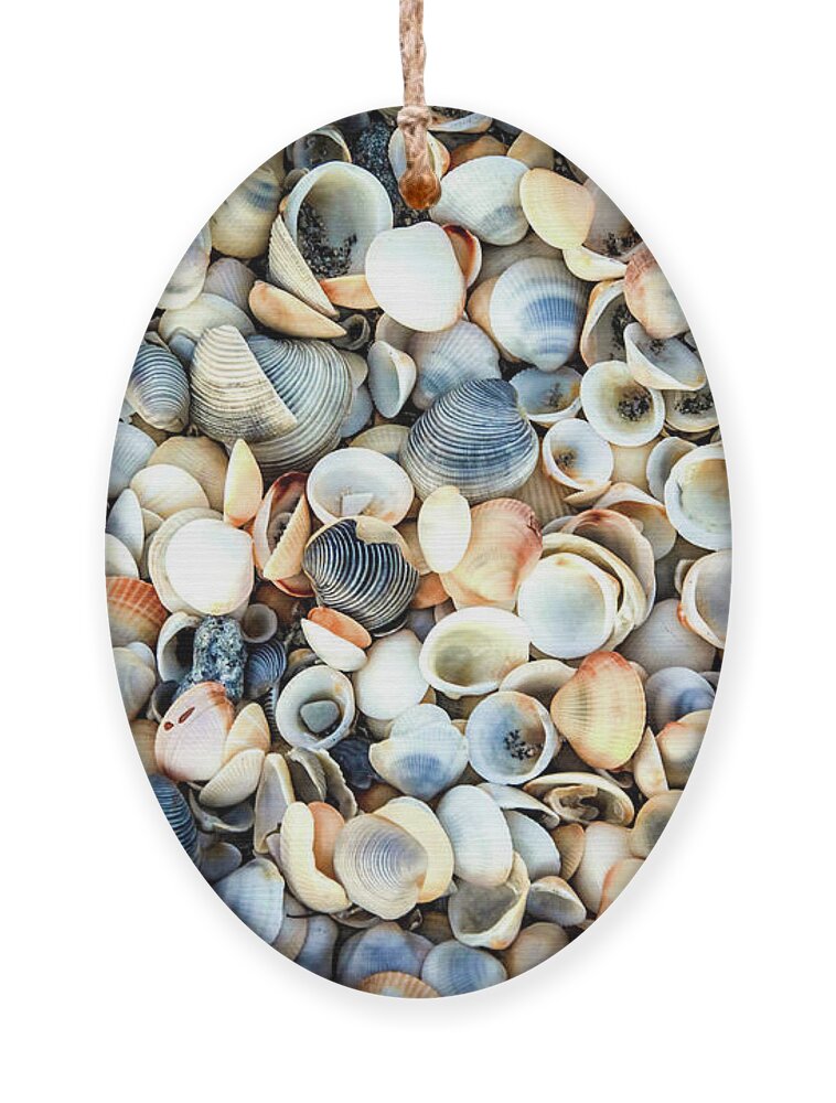 Seashells Ornament featuring the photograph Seashells On The Seashore by Rebecca Herranen