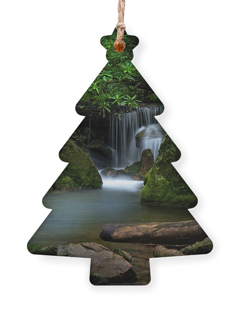 Secluded Ornament featuring the photograph Secluded Waterfall by Shelia Hunt