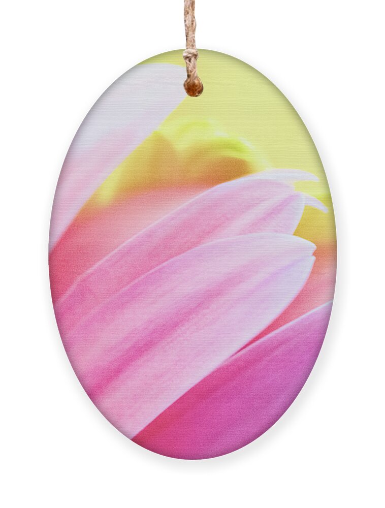 Pink And Yellow Ornament featuring the photograph Second Nature by Christi Kraft