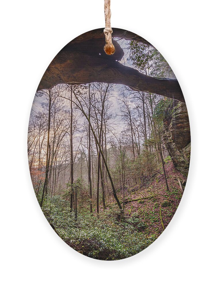 Cherokee Arch Ornament featuring the photograph Secrets of the Gorge by Michael Scott