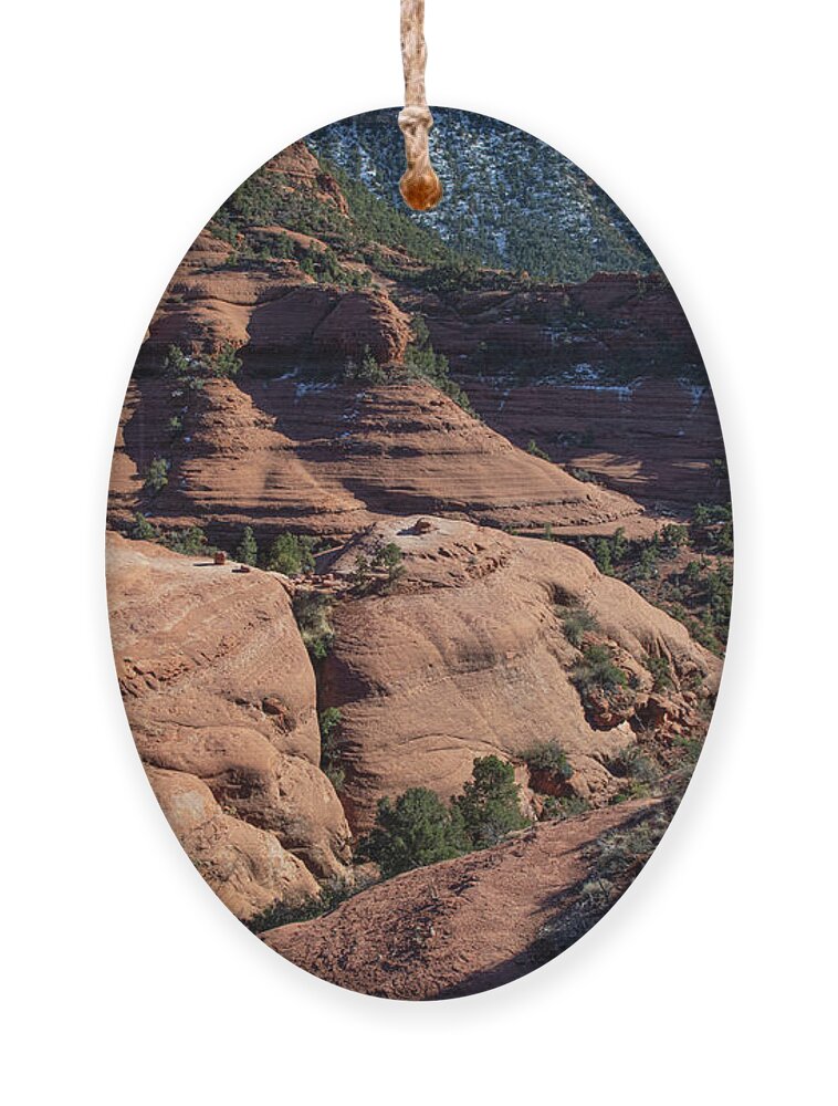 Sedona Ornament featuring the photograph Sedona from the Air #5 by Steve Templeton